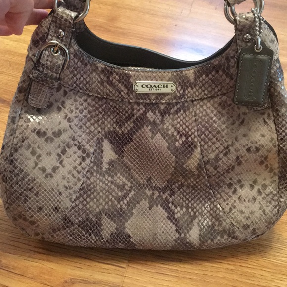 coach snakeskin bag